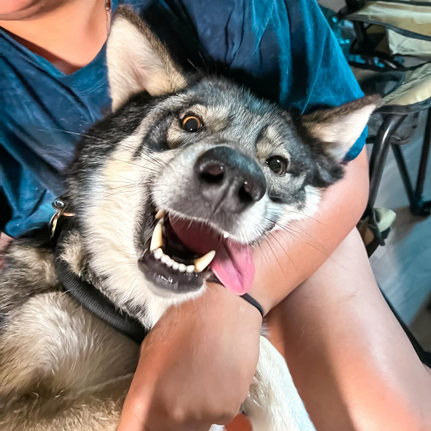 468577107_17883075870169878_5479067699959403049_n