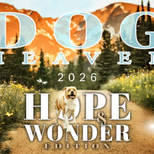 2026 Dog Heaven Calendar