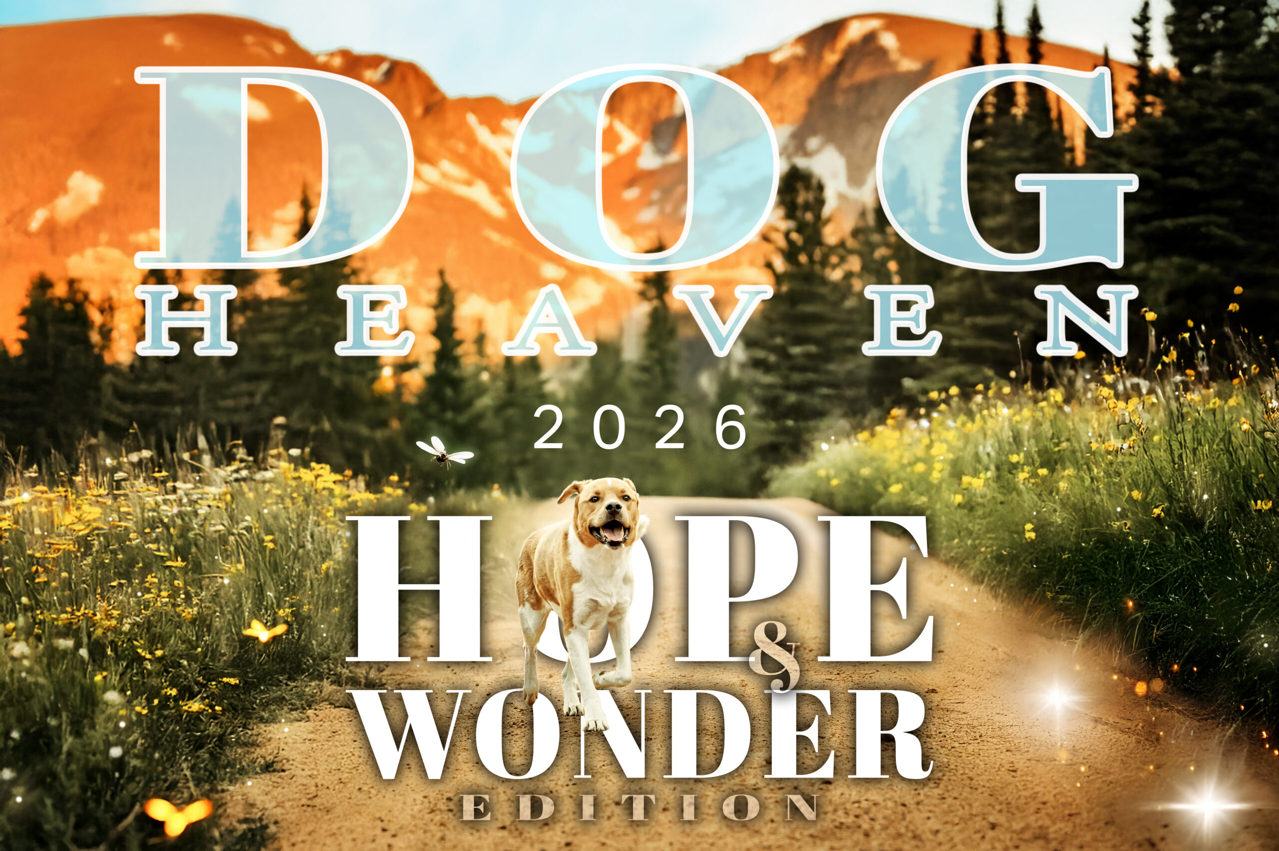 DSC_2395aajj i fin z final ZzCCaa ZZZ COVaa