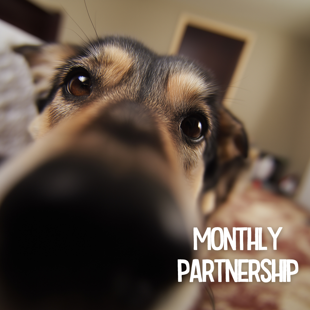 Monthly Partnership