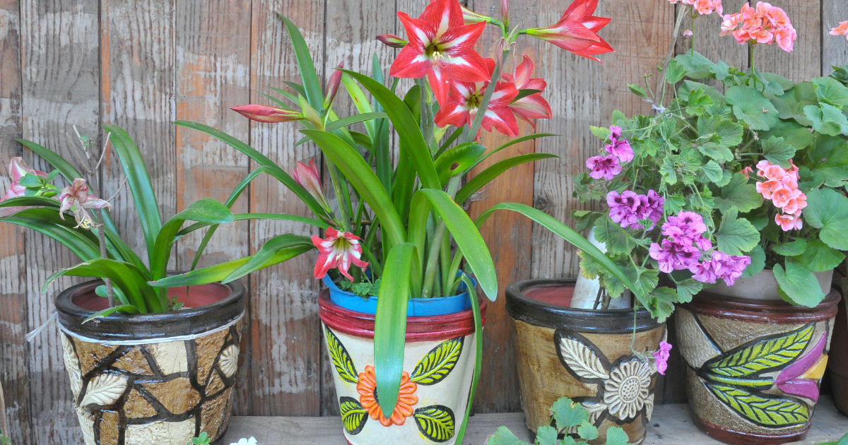 DH-PostFeaturedImage