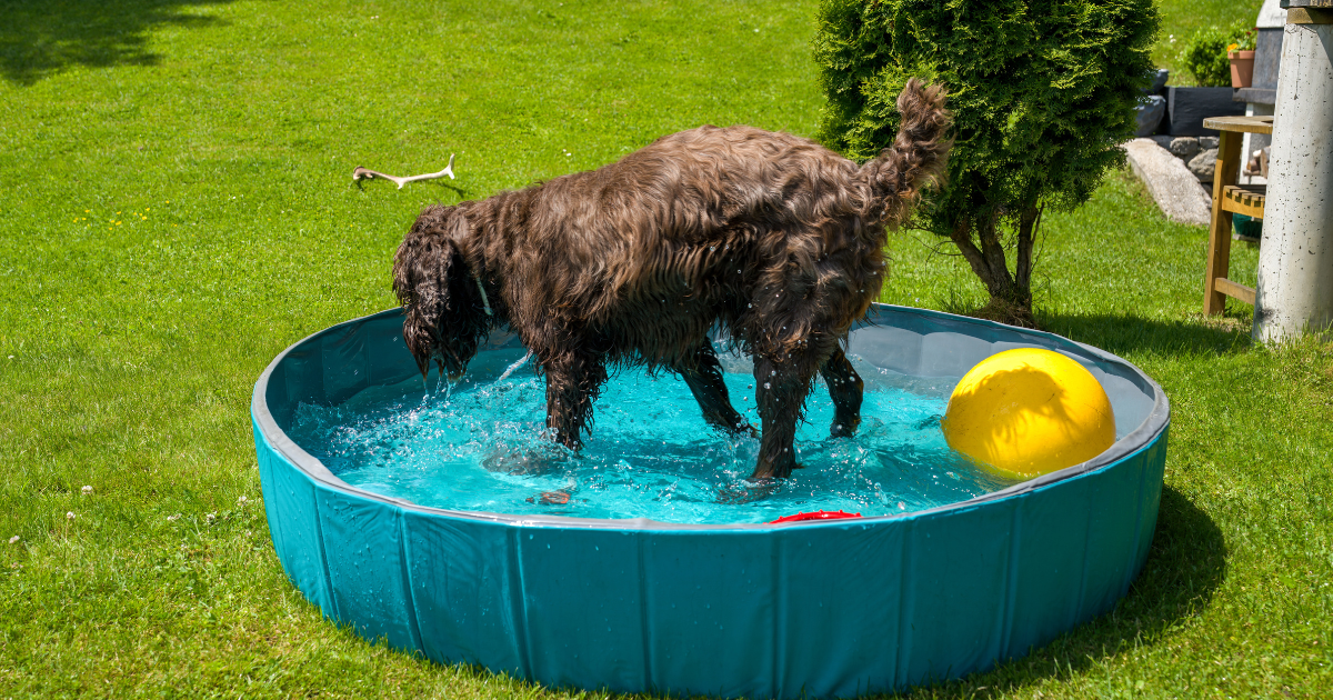 DH-PostFeaturedImage